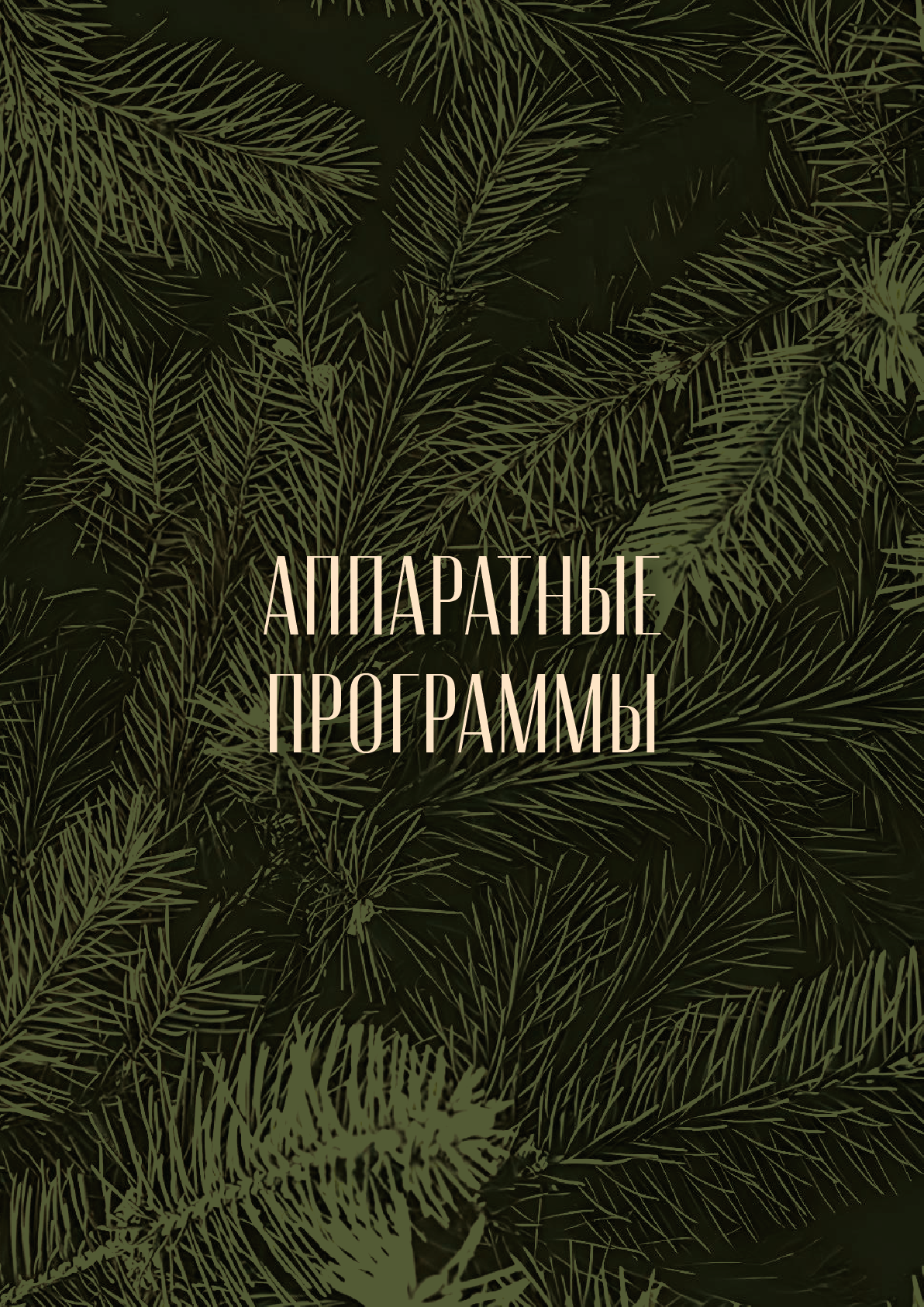 Главная картинка
