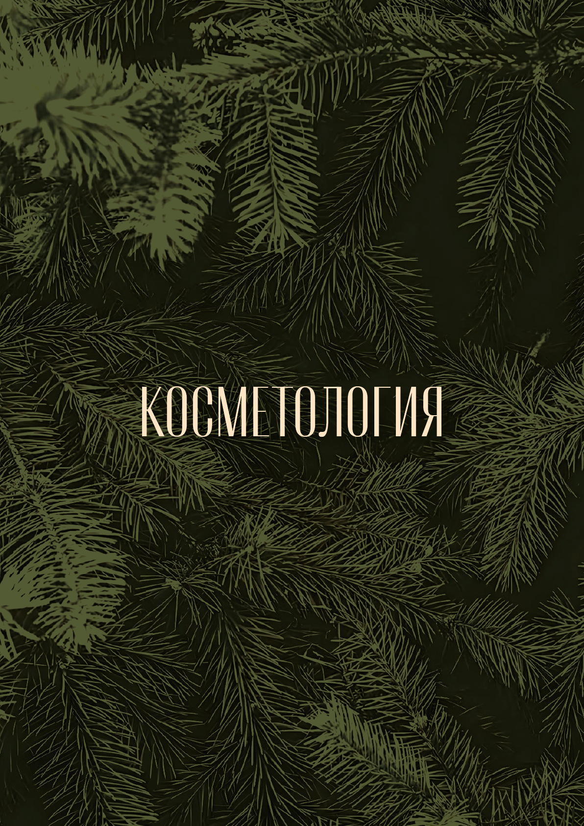 Главная картинка